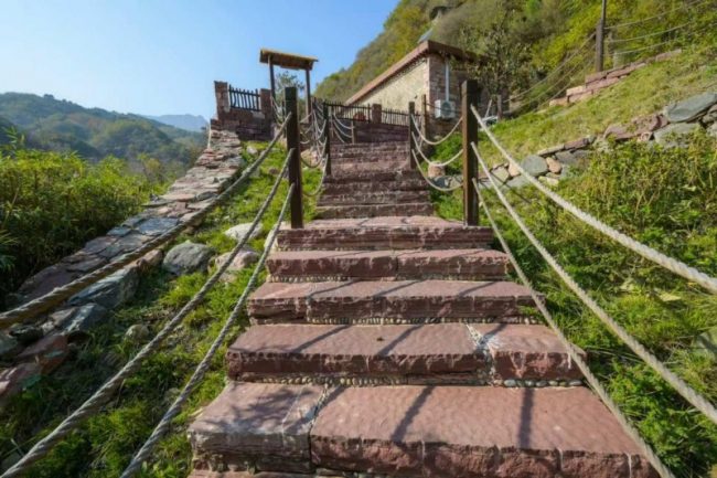 1767100162-c2d40064c42d56b