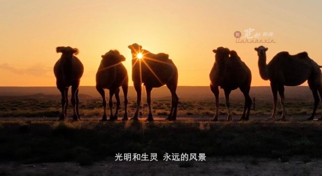 1767154330-1eed390b1d1abda 1767154330-1eed390b1d1abda